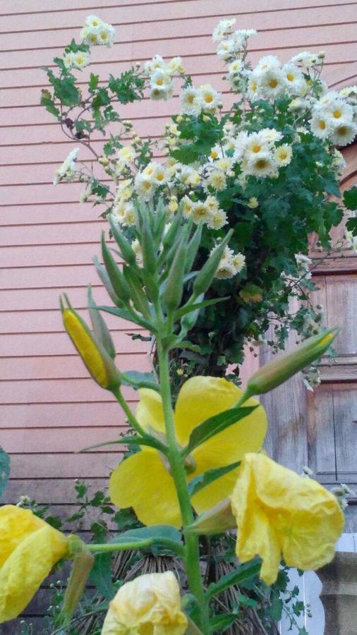Сибиряк Tskaltubo Ngoại thất bức ảnh