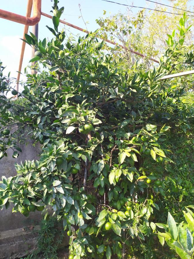 Сибиряк Tskaltubo Ngoại thất bức ảnh